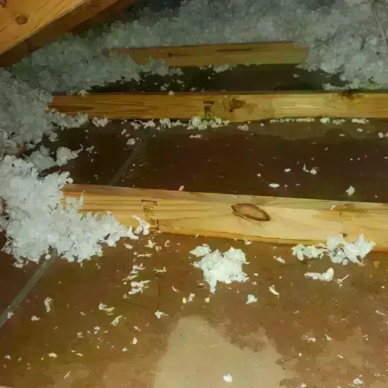 Attic Water Damage in Halifax County, VA